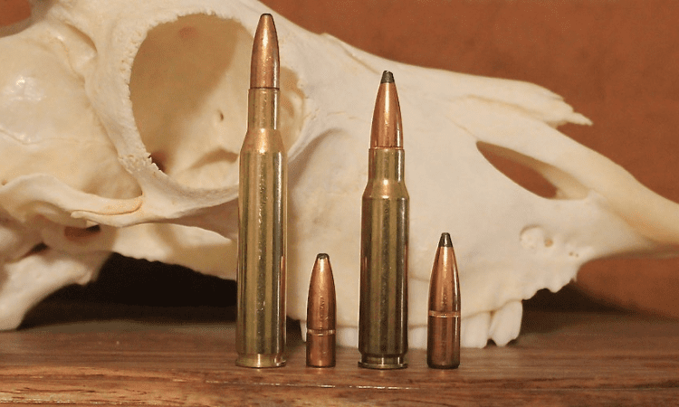 270 vs 308 Comparison and Difference: Which is Better?