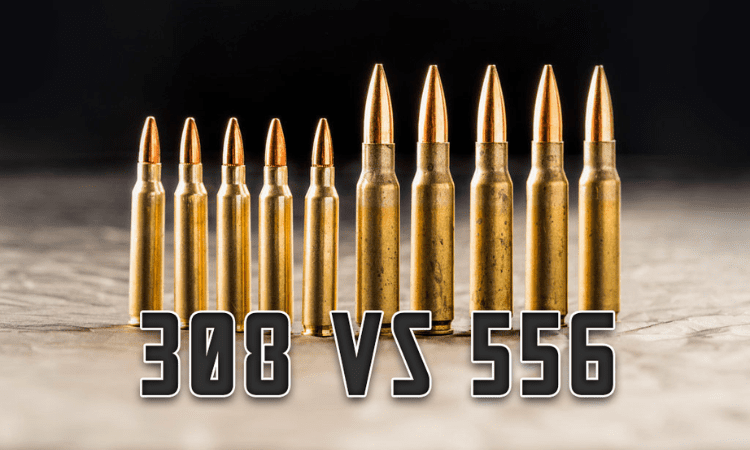 308 vs 556 Comparison and Difference: Which is Better?
