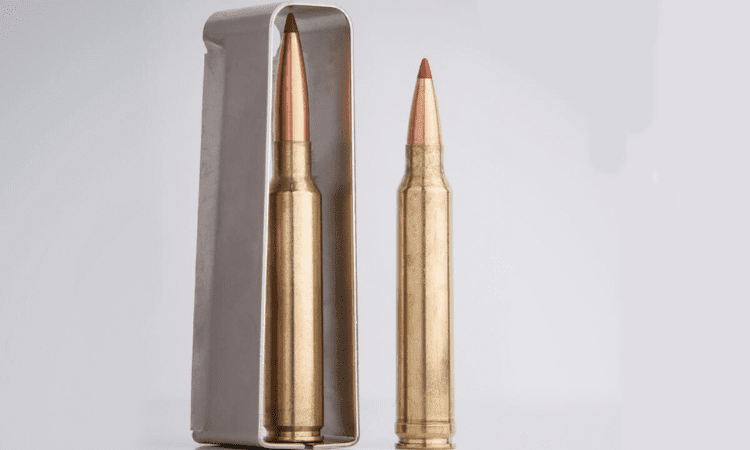 300 prc vs 300 win mag Comparison and Difference: Which is Better?