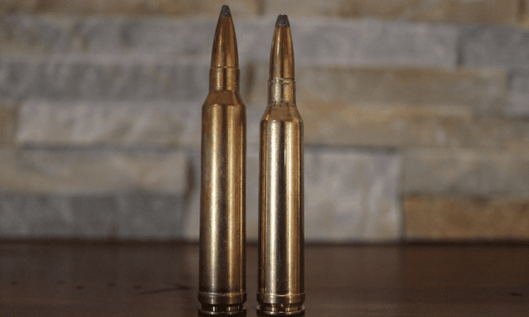 7mm rem mag vs 300 win mag Comparison and Difference: Which is Better?