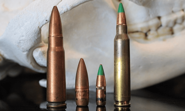 7.62x39 Vs 5.56 Comparison and Difference: Which is Better?