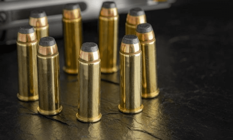 44 Magnum Vs 45 Colt Comparison and Difference: Which is Better?